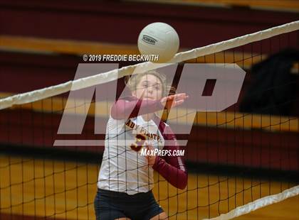 Thumbnail 2 in Gainesville @ Collinsville photogallery.