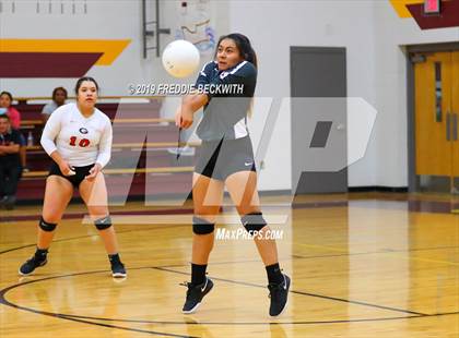 Thumbnail 2 in Gainesville @ Collinsville photogallery.