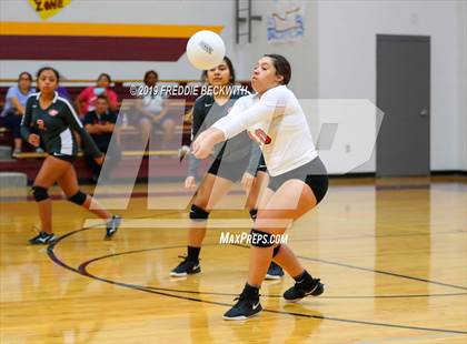 Thumbnail 3 in Gainesville @ Collinsville photogallery.
