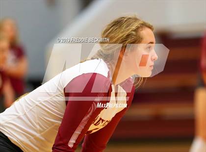 Thumbnail 2 in Gainesville @ Collinsville photogallery.