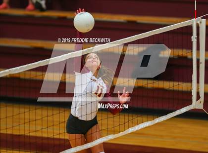 Thumbnail 1 in Gainesville @ Collinsville photogallery.