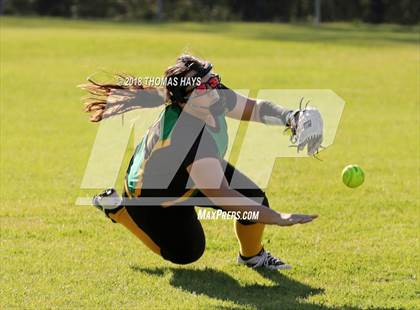 Thumbnail 2 in Converse @ Zwolle photogallery.