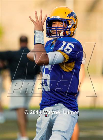 Thumbnail 2 in Campbell County @ Newport Central Catholic (2014 Crosstown Showdown) photogallery.