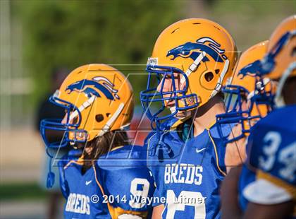 Thumbnail 3 in Campbell County @ Newport Central Catholic (2014 Crosstown Showdown) photogallery.