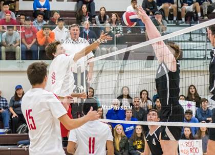 Thumbnail 2 in Pacific Collegiate vs. Saratoga (CIF CCS D2 Final) photogallery.