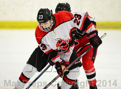 Thumbnail 2 in Fairfield Warde/Ludlowe @ Branford photogallery.