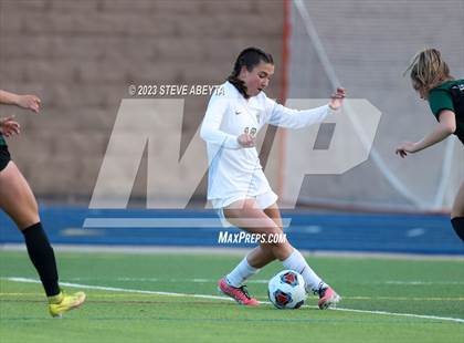 Thumbnail 1 in Rock Canyon vs Pine Creek (CHSAA 5A Q-Final) photogallery.
