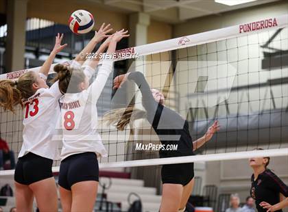 Thumbnail 1 in Regis Jesuit @ Ponderosa photogallery.