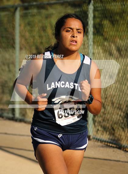 Thumbnail 2 in Golden League Meet #1 photogallery.