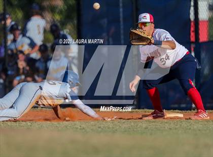 Thumbnail 2 in St. Thomas Aquinas @ Chaminade-Madonna photogallery.