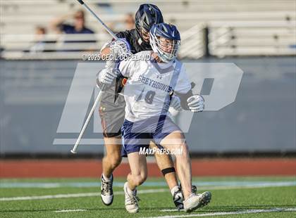 Thumbnail 1 in Lassiter @ Pope photogallery.