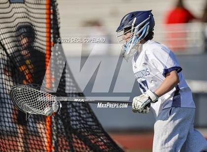 Thumbnail 1 in Lassiter @ Pope photogallery.