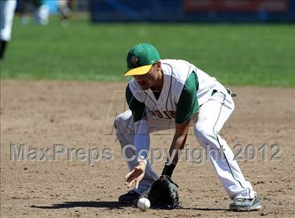 Thumbnail 1 in Castro Valley @ Acalanes photogallery.