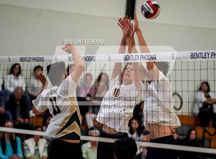 Thumbnail 2 in Moreau Catholic @ Bentley (CIF NCS D3 Semifinal) photogallery.