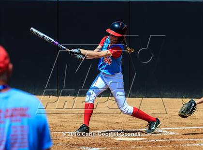 Thumbnail 2 in Princeton vs. North Stanly (NCHSAA 1A Final - Game 2) photogallery.