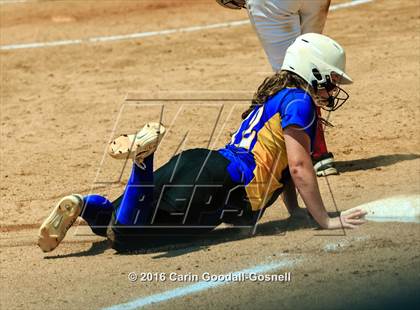 Thumbnail 1 in Princeton vs. North Stanly (NCHSAA 1A Final - Game 2) photogallery.