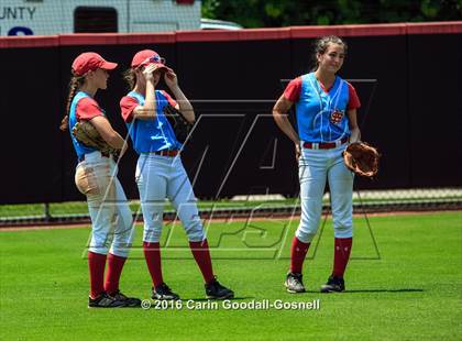 Thumbnail 3 in Princeton vs. North Stanly (NCHSAA 1A Final - Game 2) photogallery.