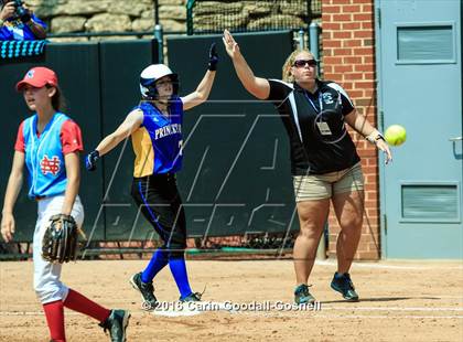 Thumbnail 1 in Princeton vs. North Stanly (NCHSAA 1A Final - Game 2) photogallery.