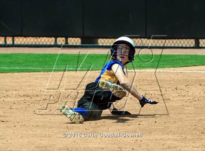 Thumbnail 2 in Princeton vs. North Stanly (NCHSAA 1A Final - Game 2) photogallery.