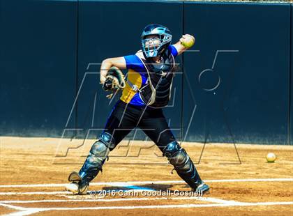 Thumbnail 1 in Princeton vs. North Stanly (NCHSAA 1A Final - Game 2) photogallery.