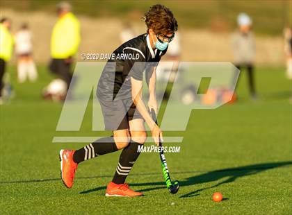 Thumbnail 1 in Wellesley @ Needham photogallery.