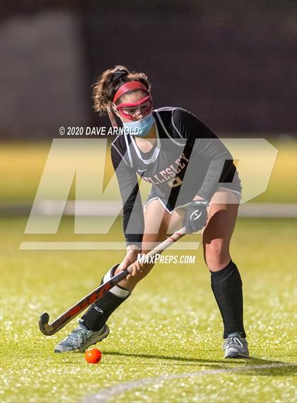 Thumbnail 1 in Wellesley @ Needham photogallery.
