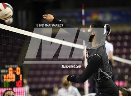 Thumbnail 1 in Montezuma-Cortez vs. Sterling (CHSAA 3A Semifinal) photogallery.
