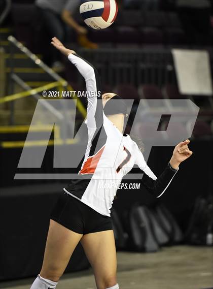 Thumbnail 2 in Montezuma-Cortez vs. Sterling (CHSAA 3A Semifinal) photogallery.