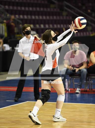 null - Photo 01