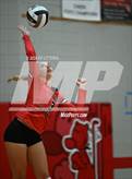 Photo from the gallery "Alexander @ South Webster"