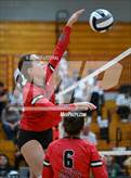 Photo from the gallery "Alexander @ South Webster"