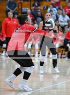 Photo from the gallery "Alexander @ South Webster"