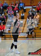 Photo from the gallery "Alexander @ South Webster"