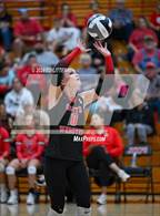 Photo from the gallery "Alexander @ South Webster"
