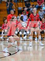 Photo from the gallery "Alexander @ South Webster"