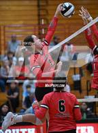 Photo from the gallery "Alexander @ South Webster"