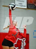 Photo from the gallery "Alexander @ South Webster"