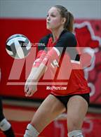 Photo from the gallery "Alexander @ South Webster"