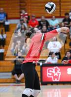 Photo from the gallery "Alexander @ South Webster"