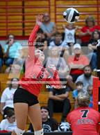 Photo from the gallery "Alexander @ South Webster"