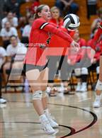 Photo from the gallery "Alexander @ South Webster"