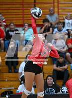 Photo from the gallery "Alexander @ South Webster"