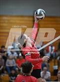 Photo from the gallery "Alexander @ South Webster"