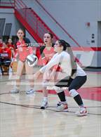 Photo from the gallery "Alexander @ South Webster"