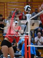 Photo from the gallery "Alexander @ South Webster"