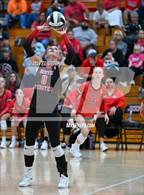 Photo from the gallery "Alexander @ South Webster"