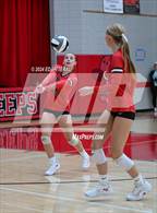 Photo from the gallery "Alexander @ South Webster"