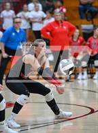 Photo from the gallery "Alexander @ South Webster"