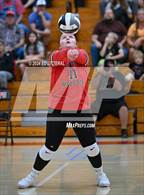 Photo from the gallery "Alexander @ South Webster"