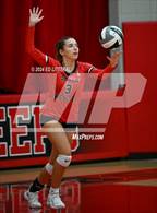 Photo from the gallery "Alexander @ South Webster"